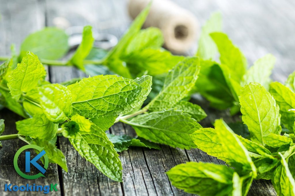 5 Proven & Amazing Health Benefits Of Mint Leaves