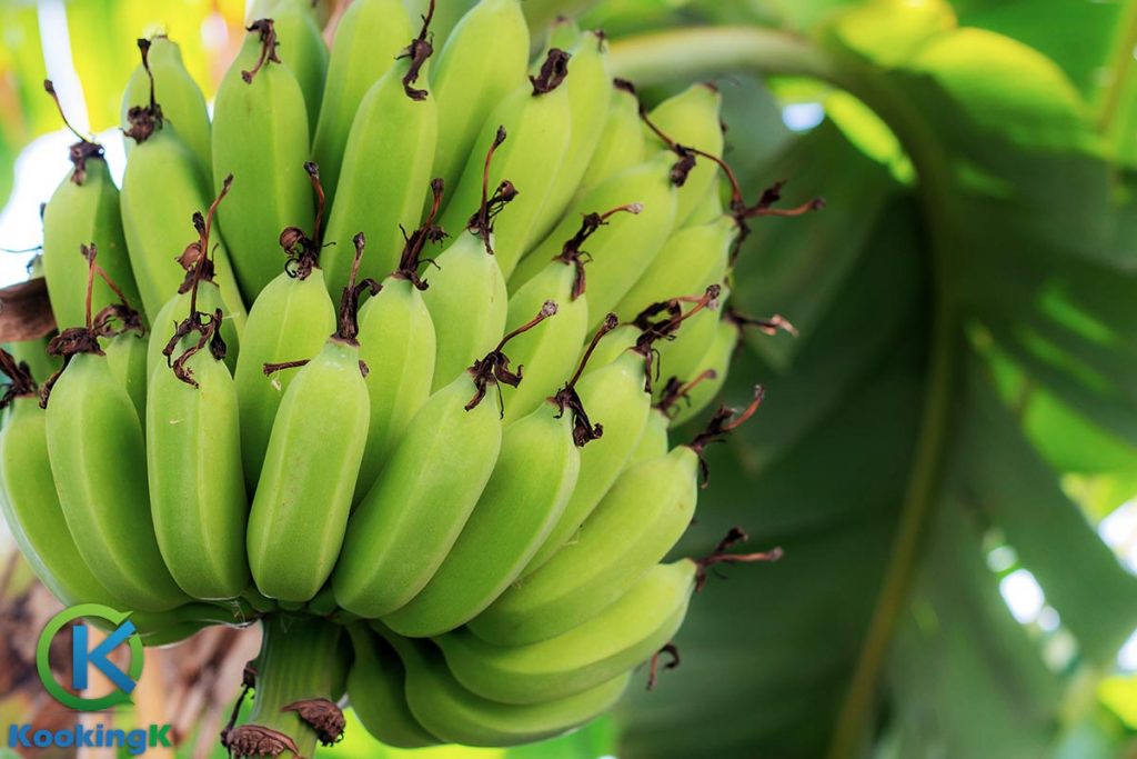 Benefits of Green Banana Or Raw Banana