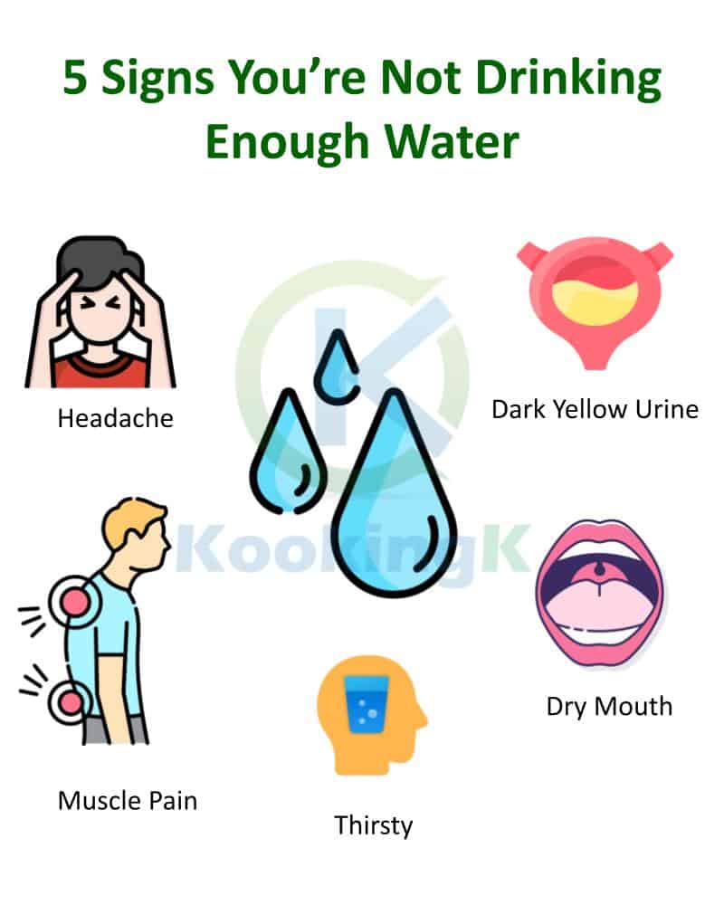 5 Signs You’re Not Drinking Enough Water